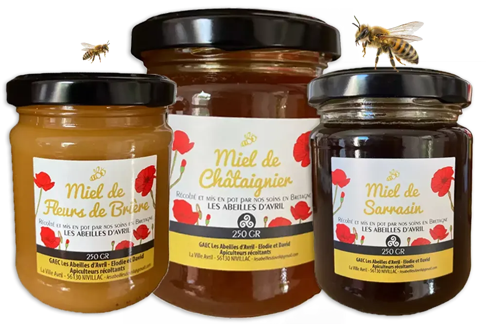 Producteur de miel à Nivillac