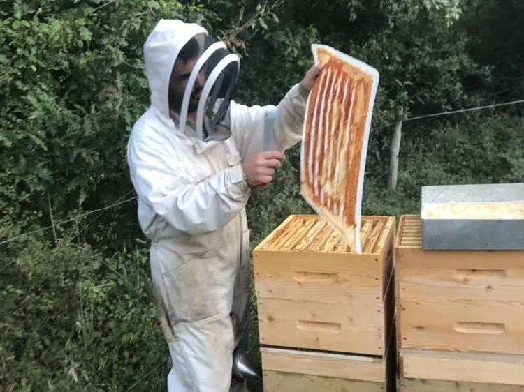 apiculteur-les-abeilles-d-avril-nivillac