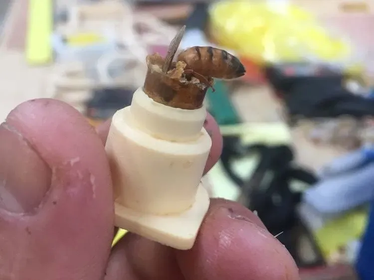 apiculteur-les-abeilles-d-avril-nivillac